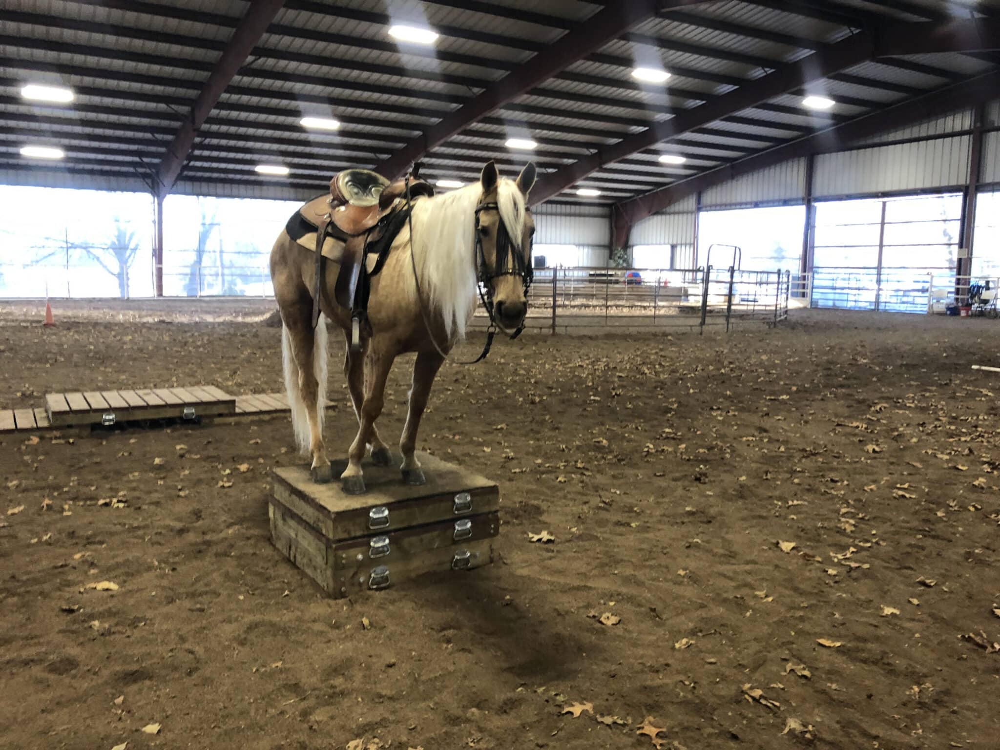 Grand's Sparkle Plenty