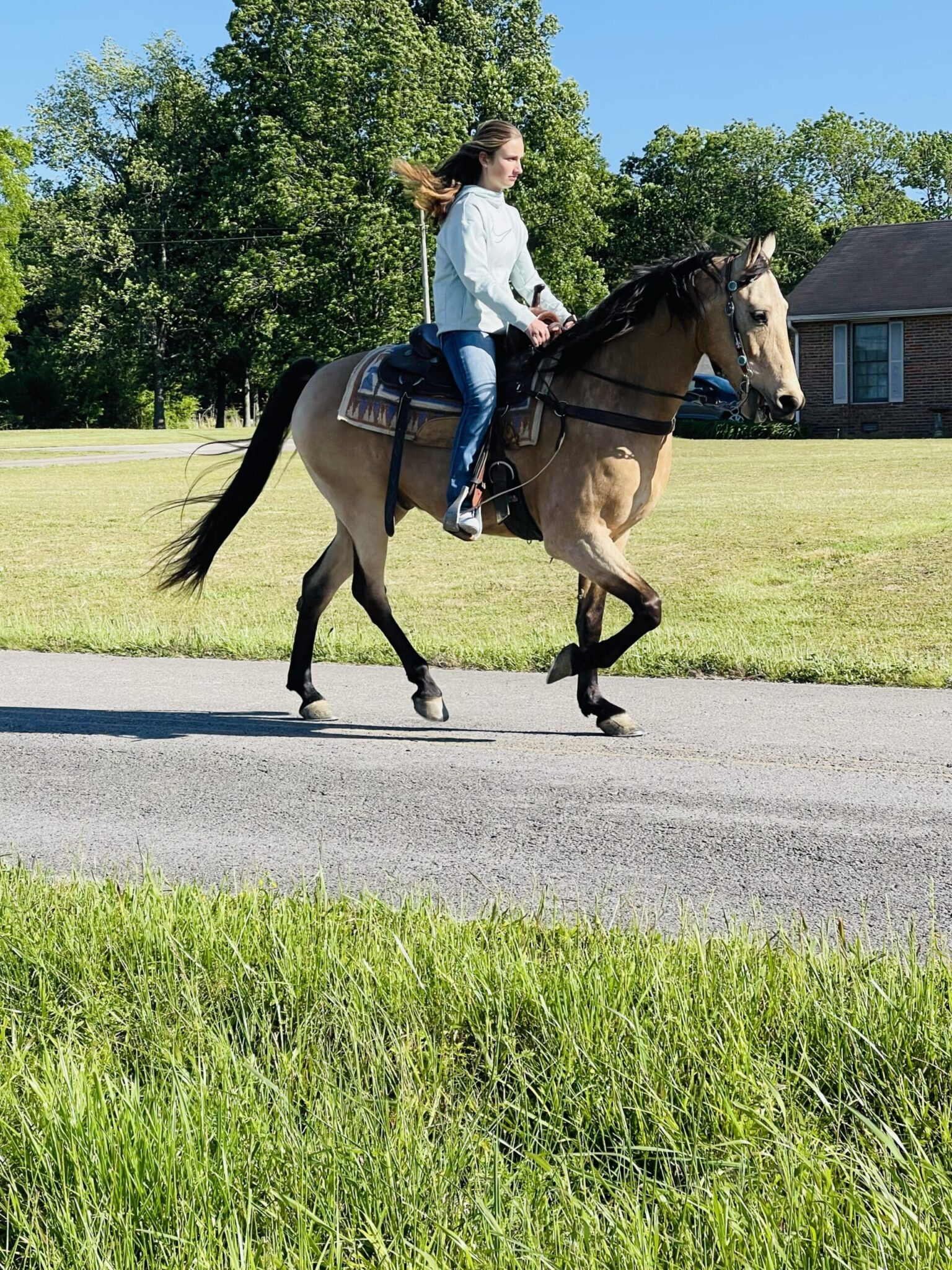 Hold Its Gunsmokin Gold (Hank)