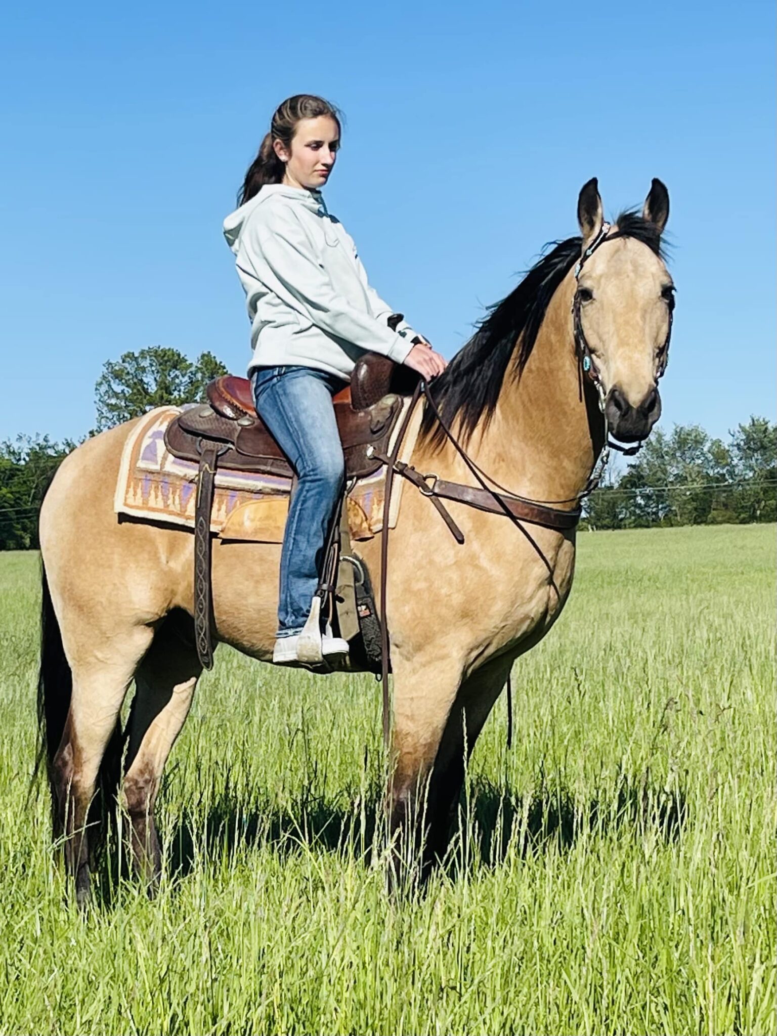 Hold Its Gunsmokin Gold (Hank)