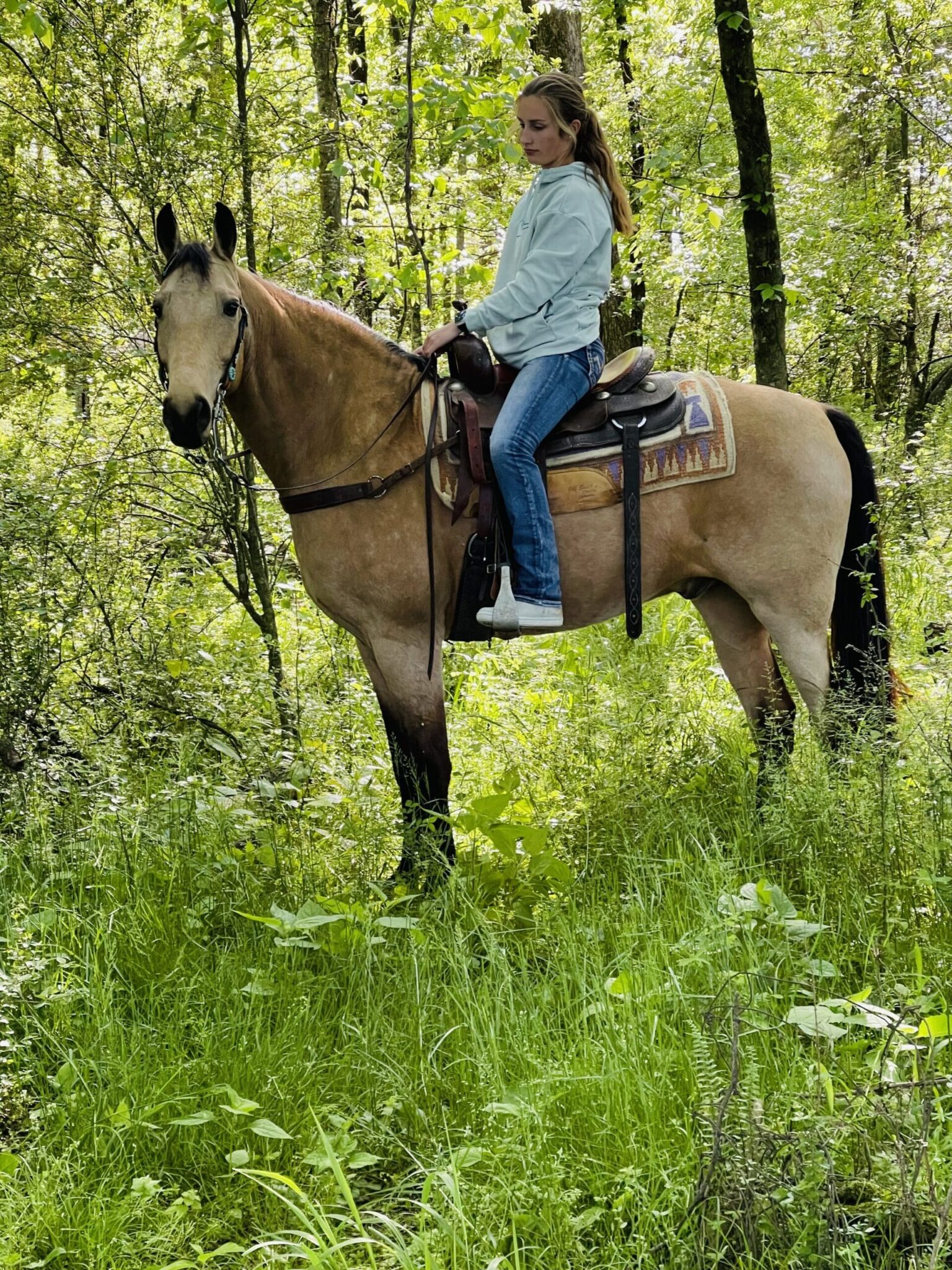 Hold Its Gunsmokin Gold (Hank)