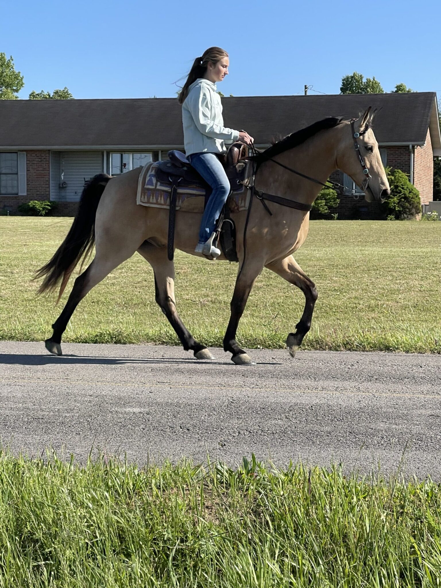 Hold Its Gunsmokin Gold (Hank)