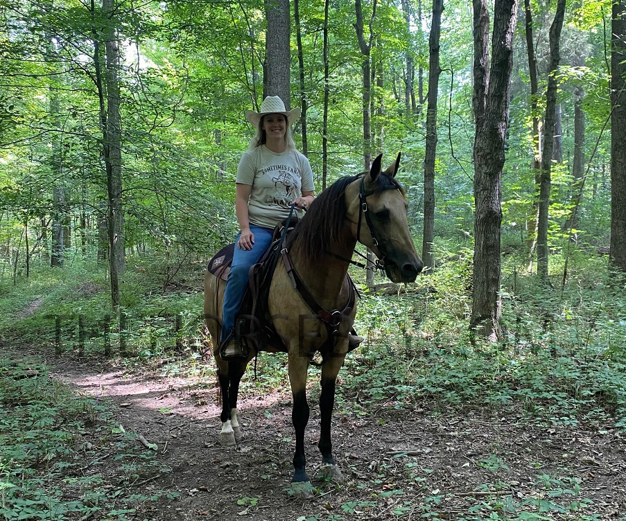 Riding Ranger Ranger | Thehorsebay.com