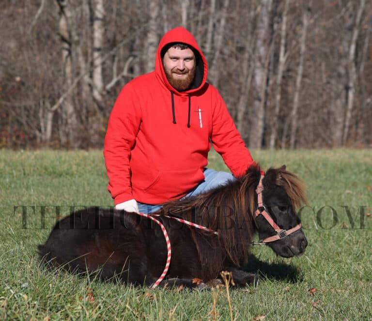 Andy and Opie Gelding ponies for sale