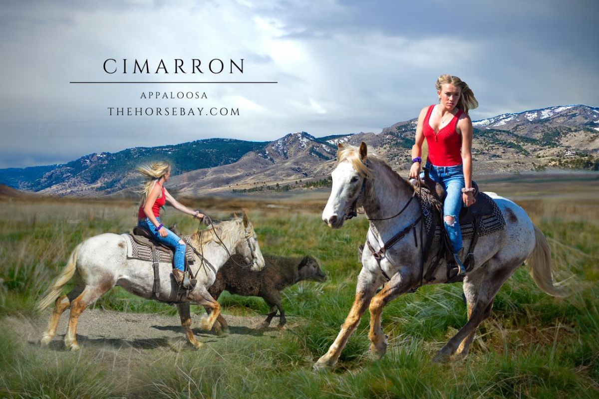 Cimarron