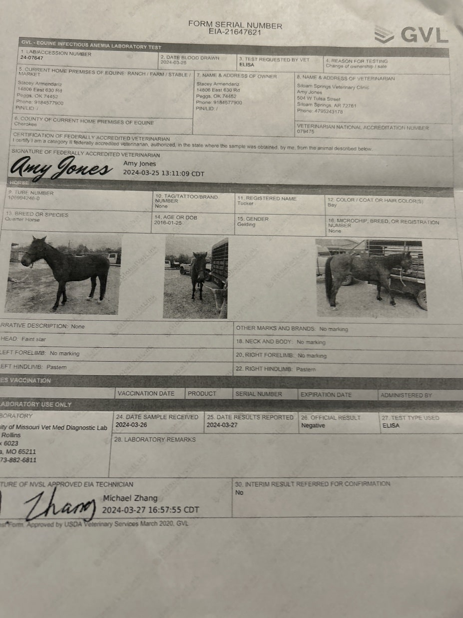 Tucker | Thehorsebay.com