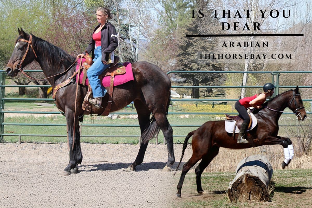 IS THAT YOU DEAR "Dearie"