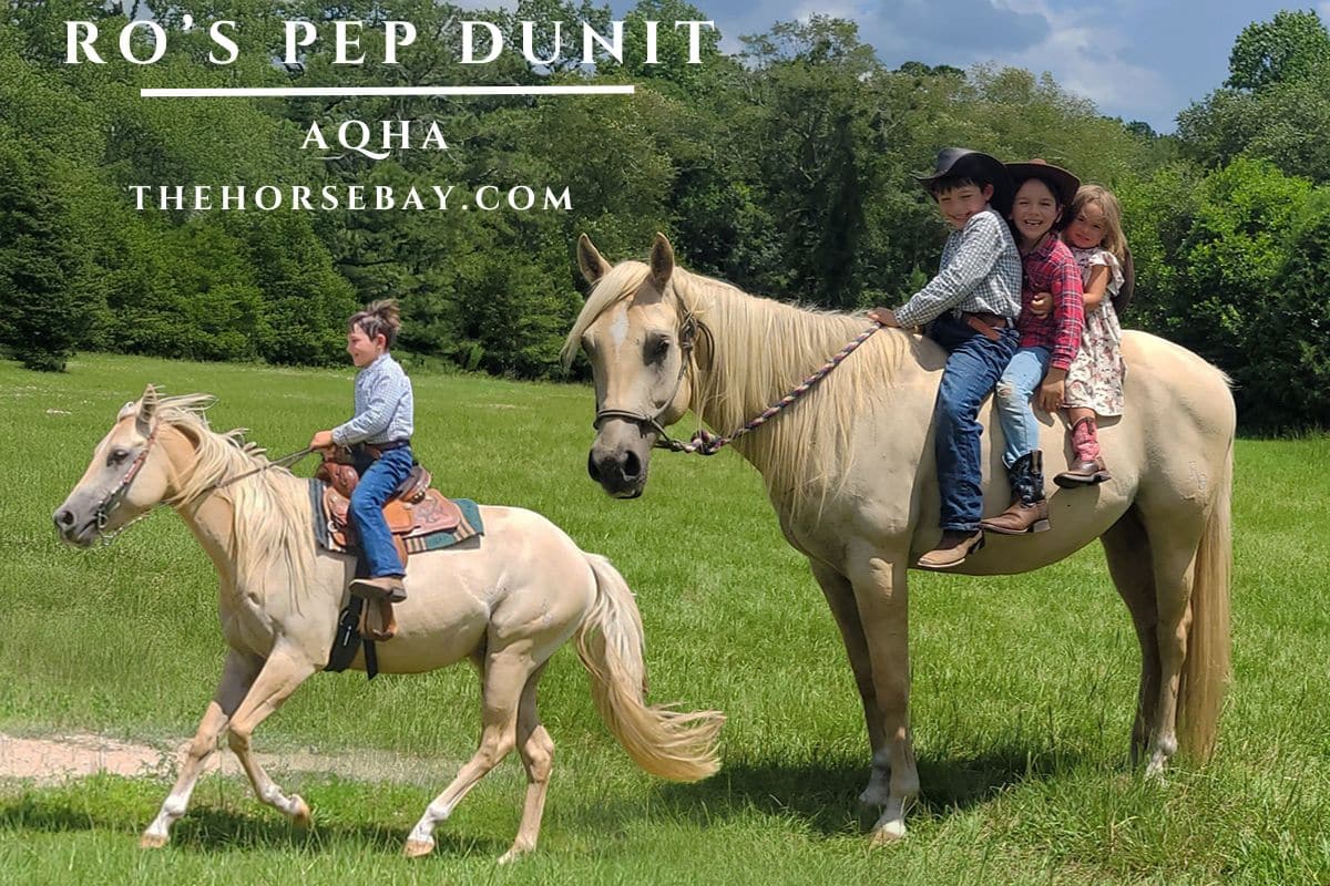 RO Hancock Pep Dunit