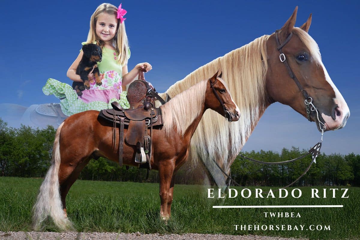 Eldorado Ritz