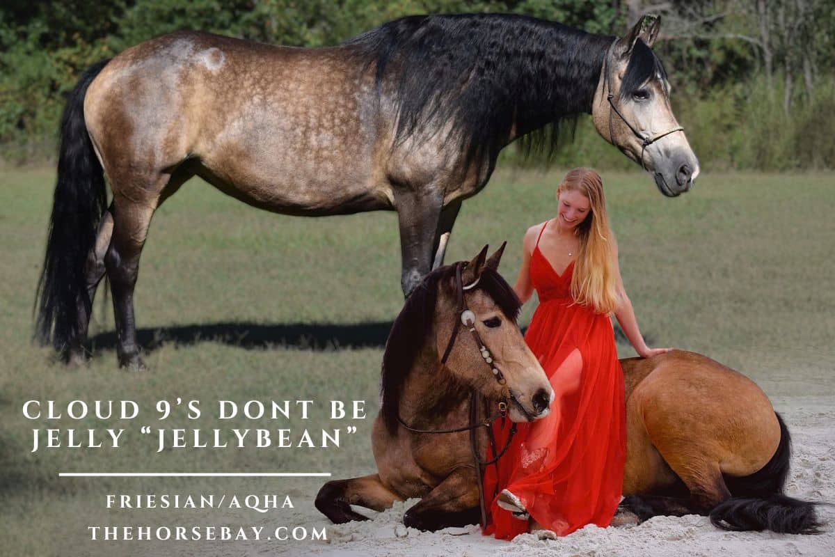 Cloud 9's Dont Be Jelly "Jellybean"