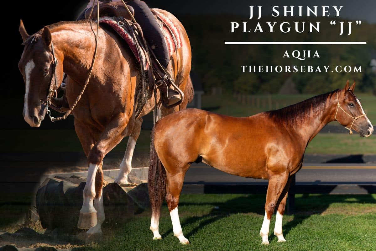 JJ Shiney Playgun "JJ"