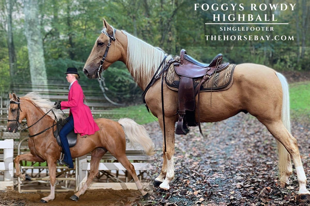 Foggys Rowdy Highball