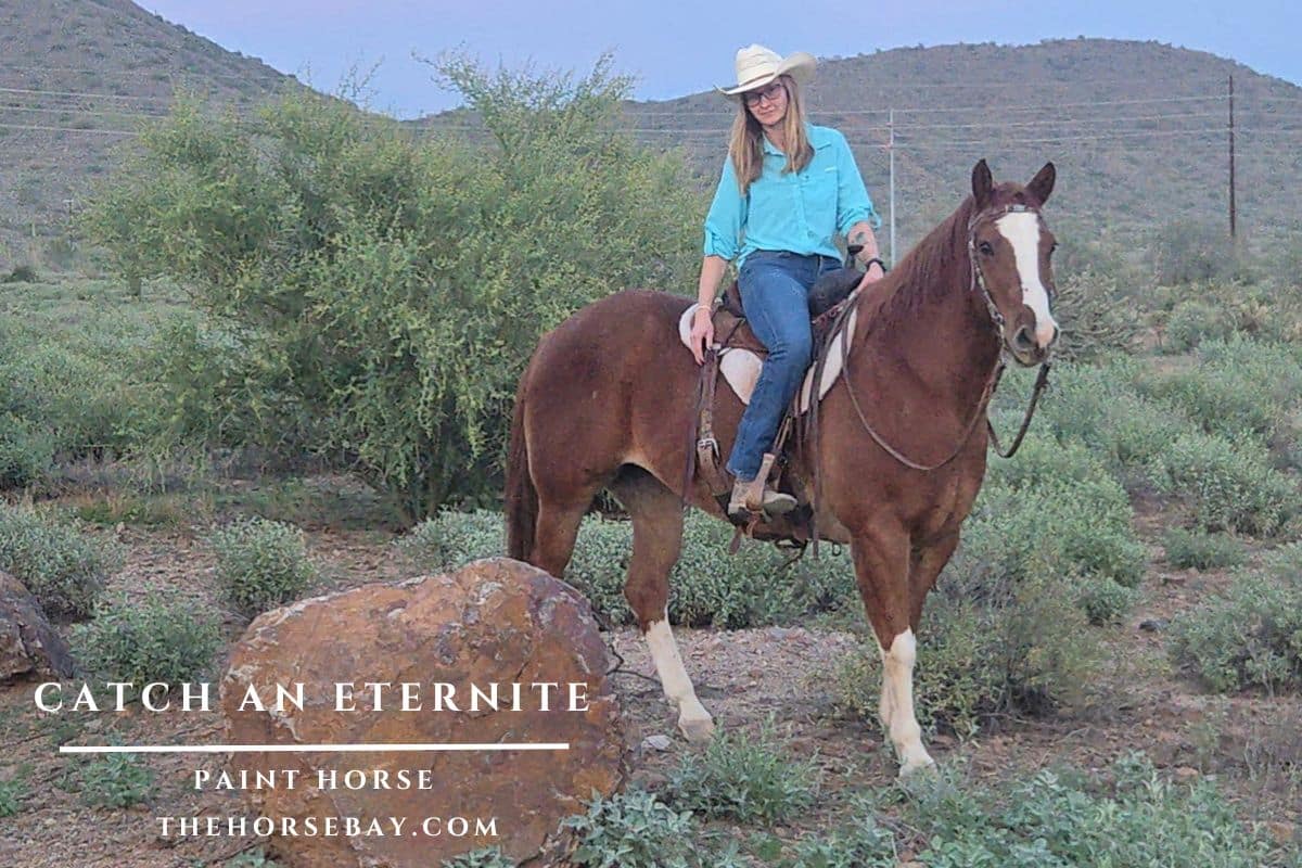 Catch An Eternite "Catch"