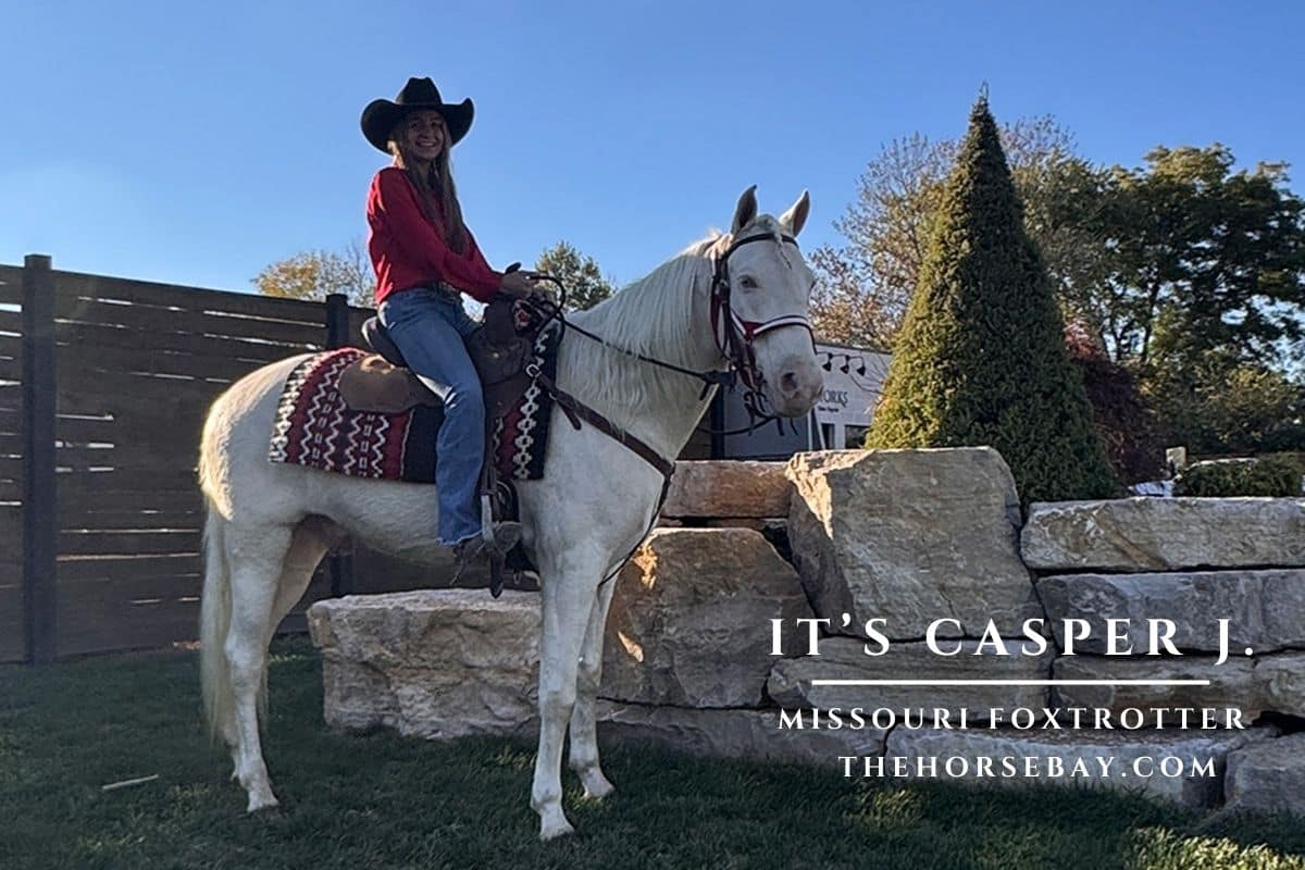 It's Casper J. | Thehorsebay.com