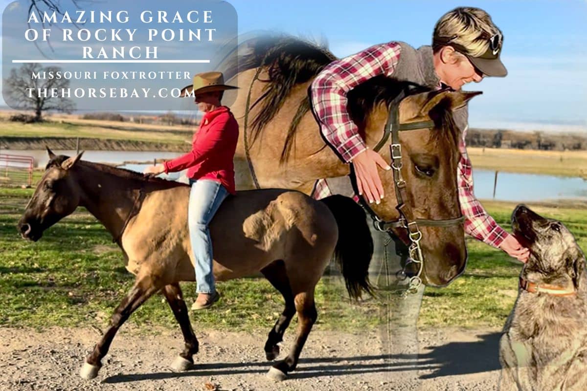 Amazing Grace of Rocky Point Ranch "Grace"