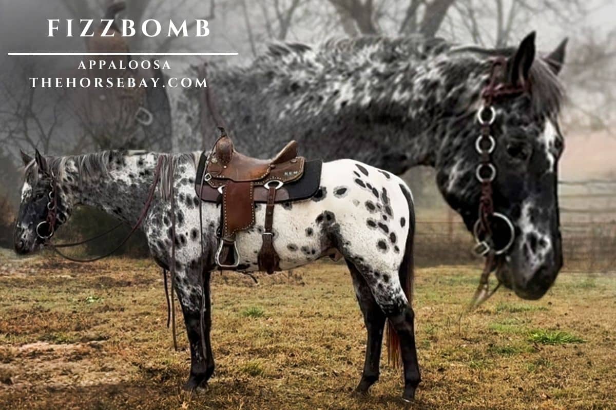 Silverado Red Buck “FizzBomb”