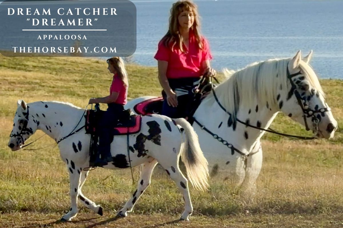 A woman rides Dreamer, a spotted Appaloosa horse, walking through a grassy field near a lake.