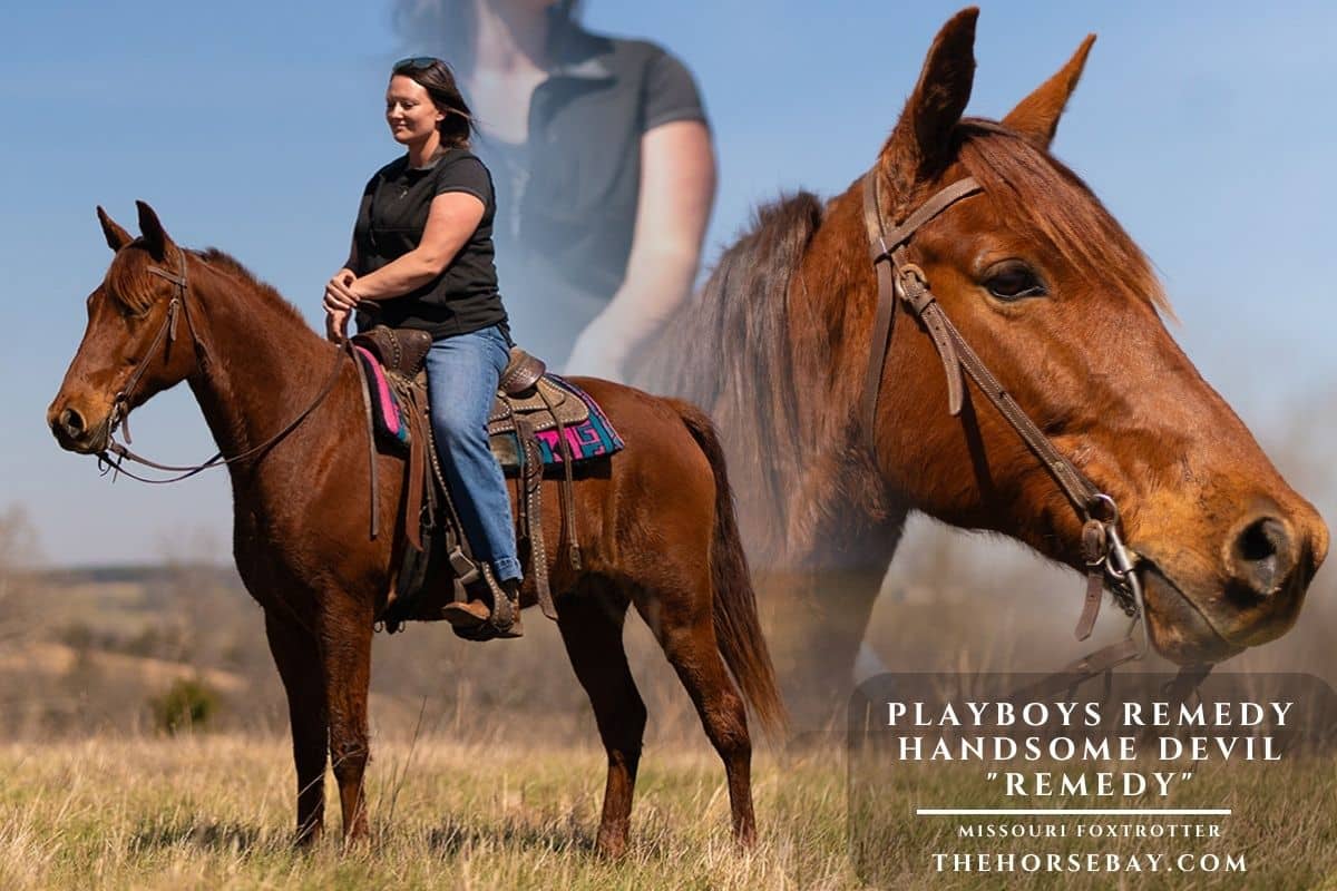 Playboys Remedy Handsome Devil "Remedy"