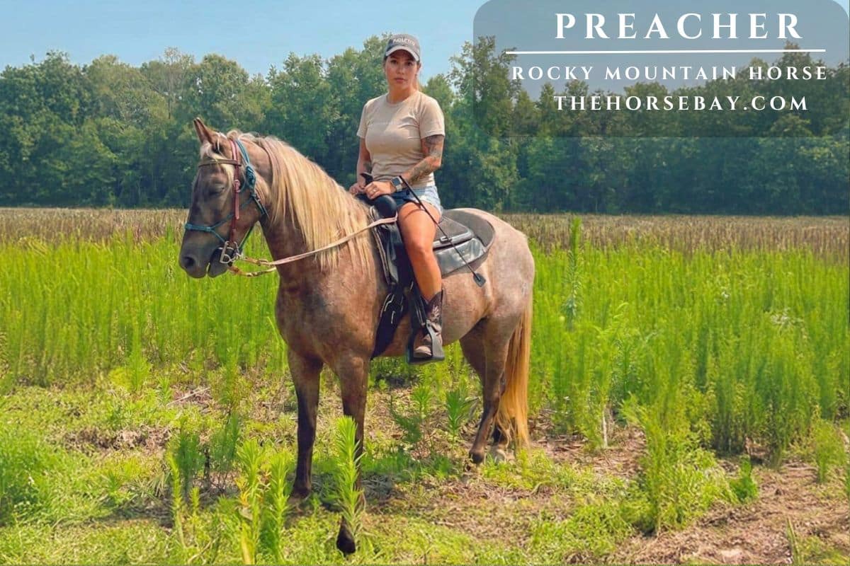 Baby's Final Union "Preacher"