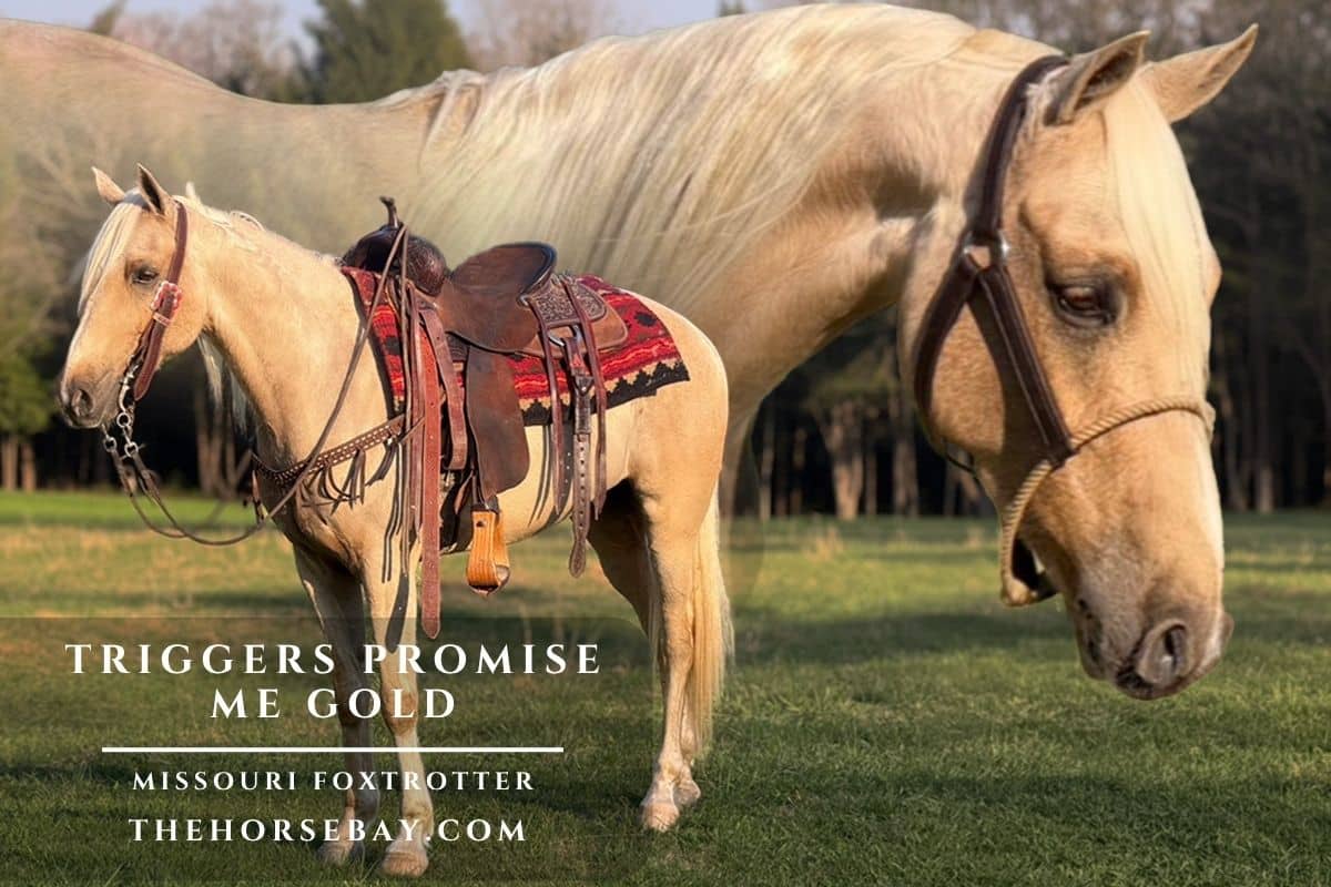 Triggers Promise Me Gold