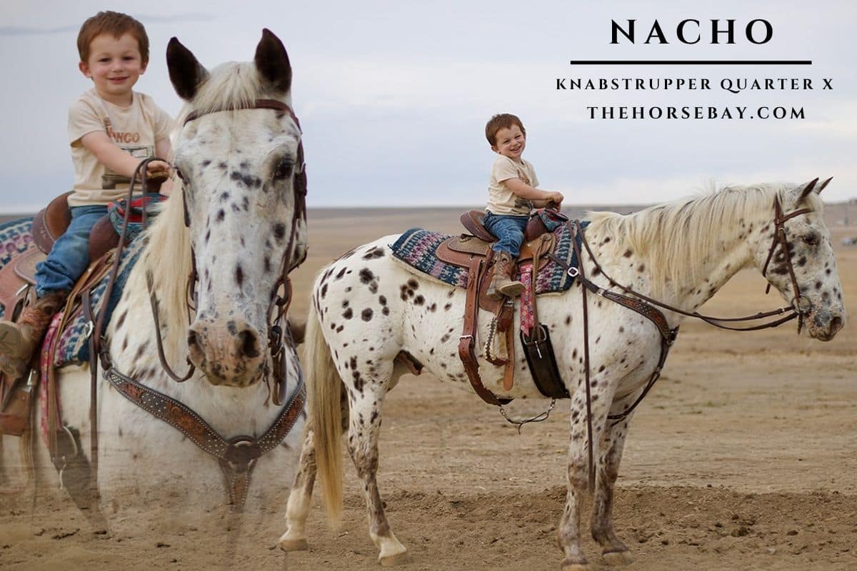 Nacho