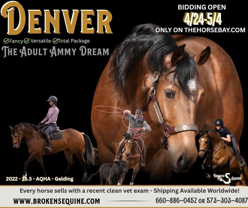 Margies Frosty Buck "Denver"