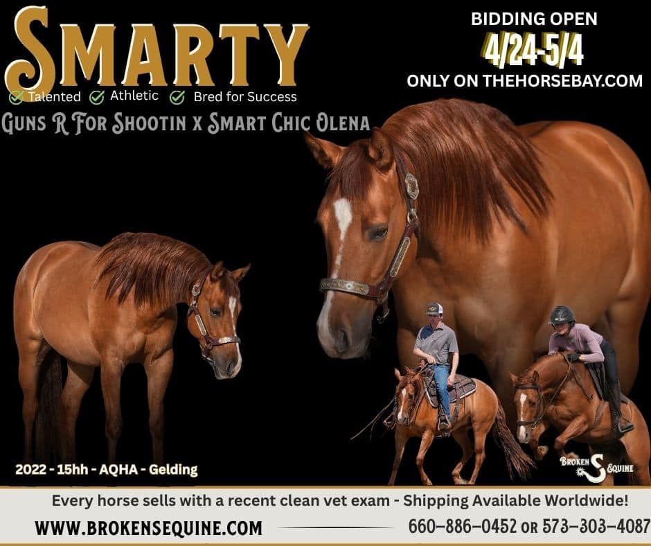 Smart Shootin Flash "Smarty"