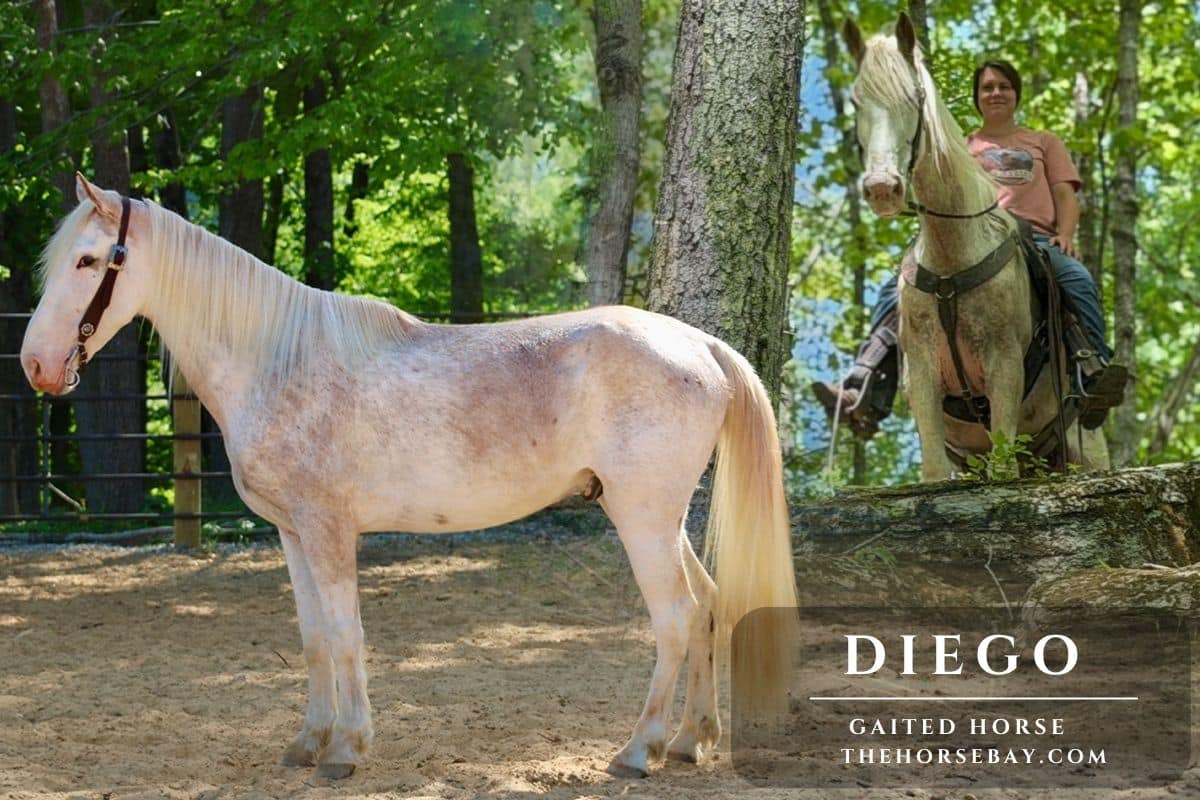 Diego