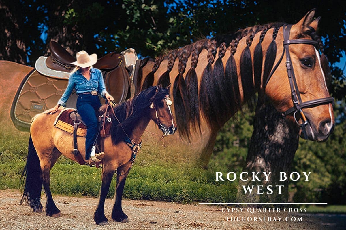 Rocky Boy West