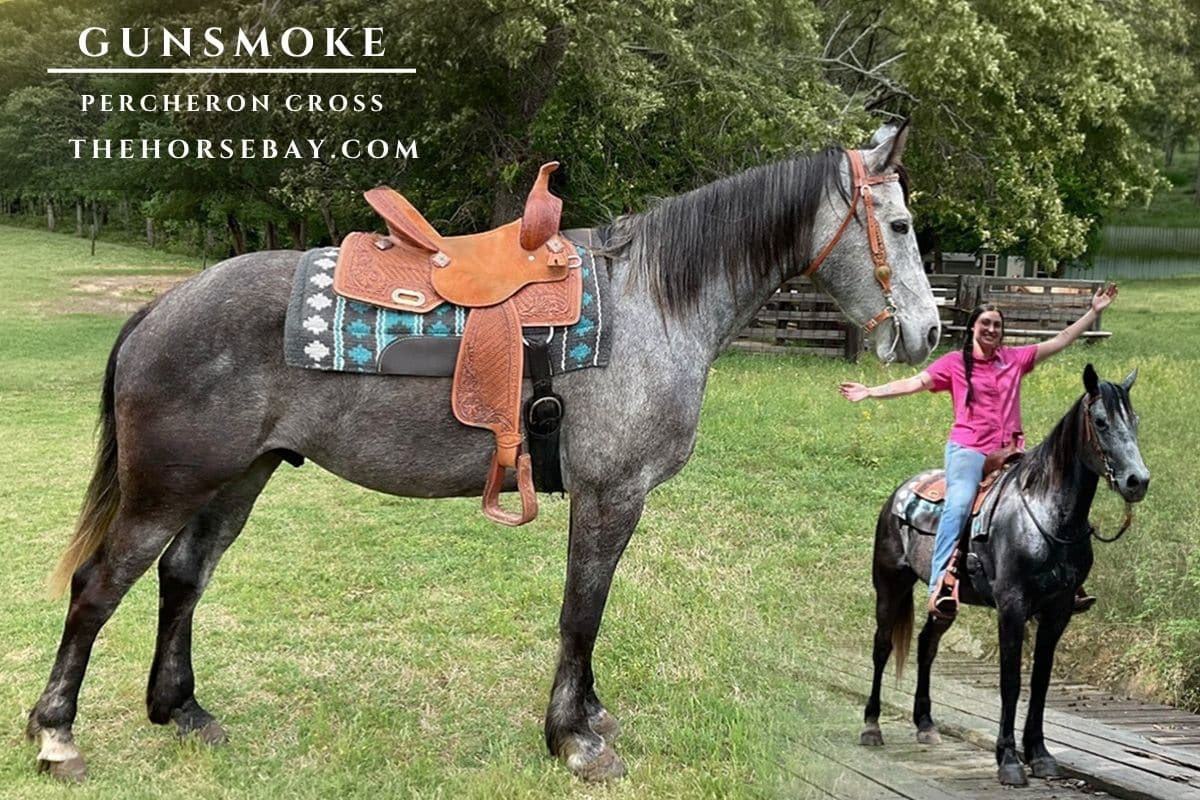 Gunsmoke
