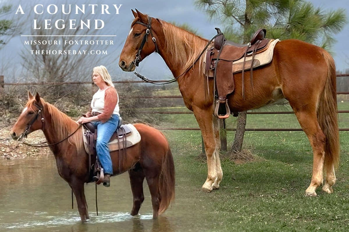 A Country Legend