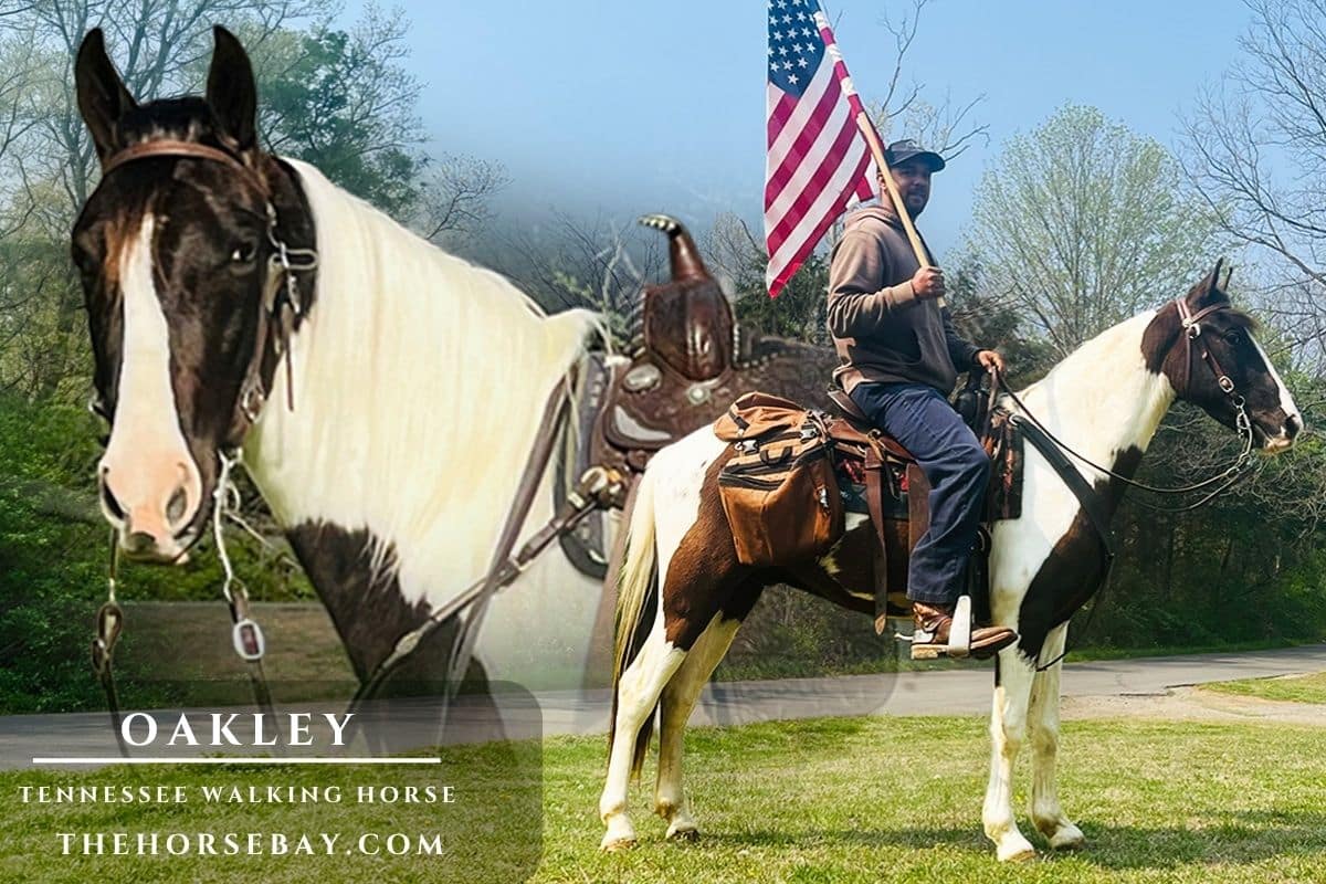 Oakley