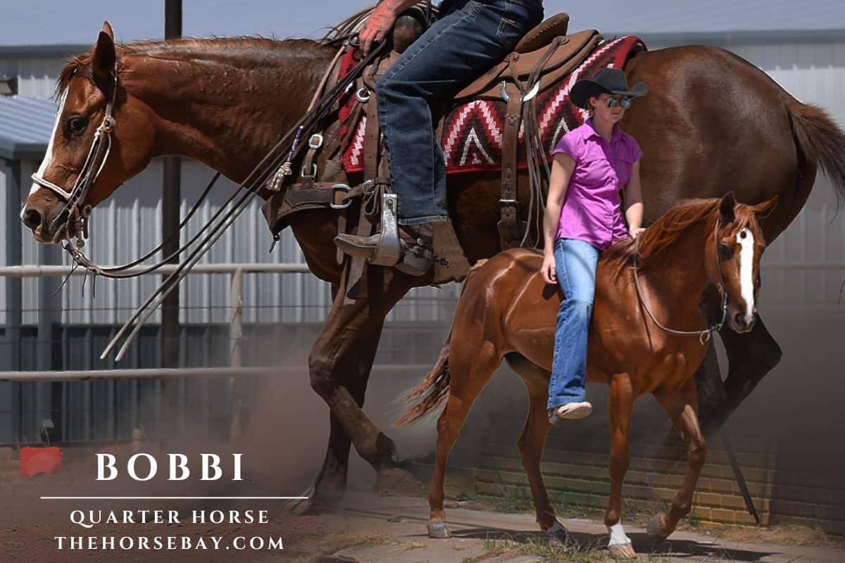 BOBBI