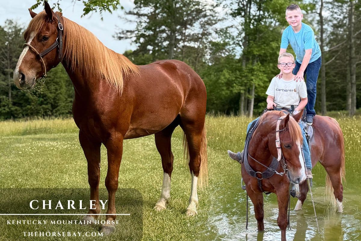 Charley