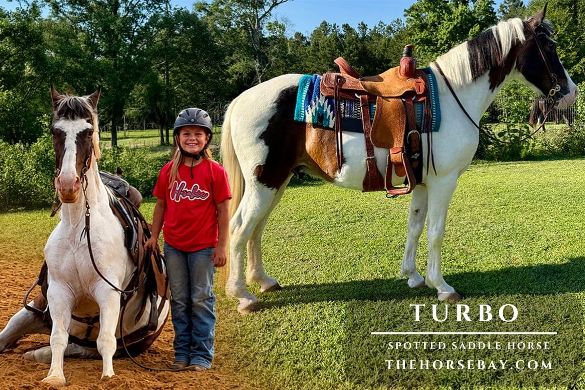 Turbo