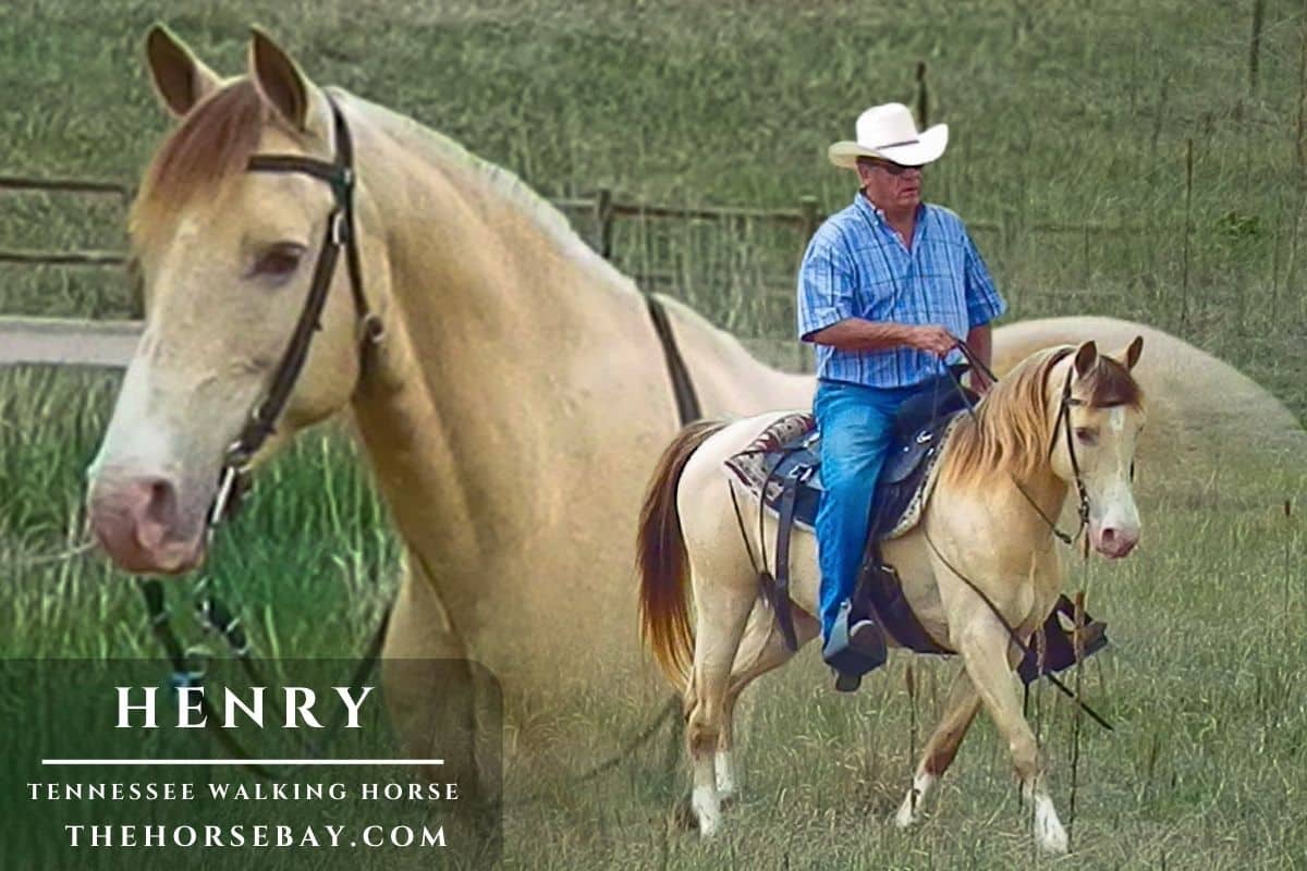 Henry