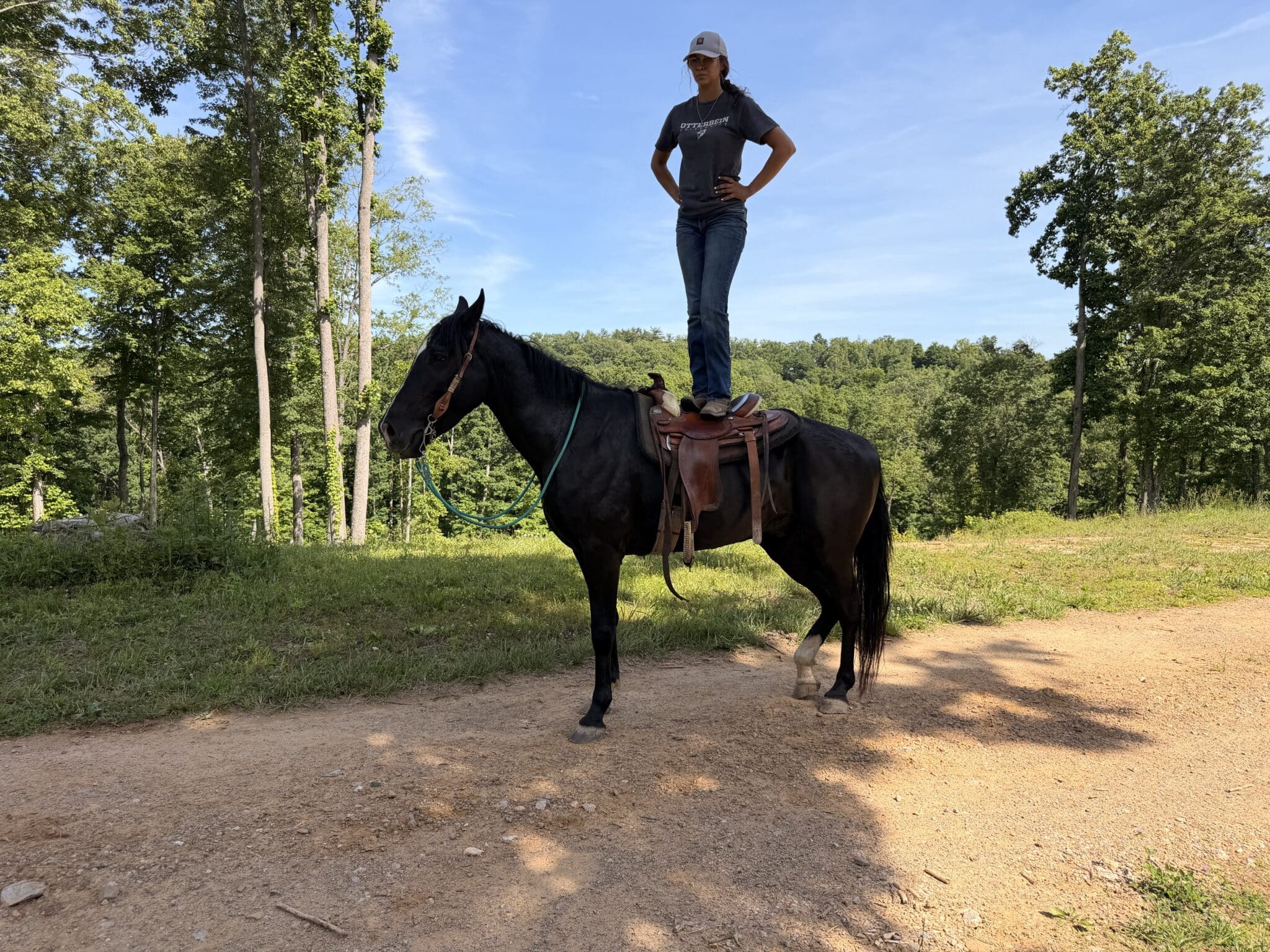 Roscoe | Thehorsebay.com