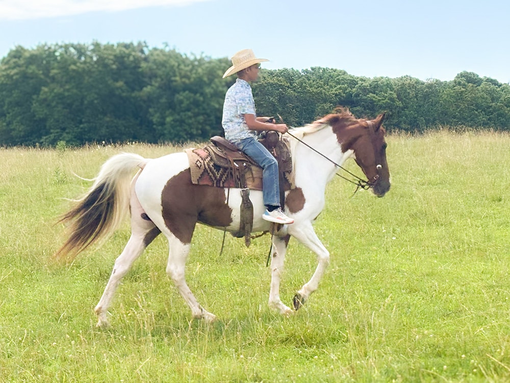 Zane's Little Angel | Thehorsebay.com