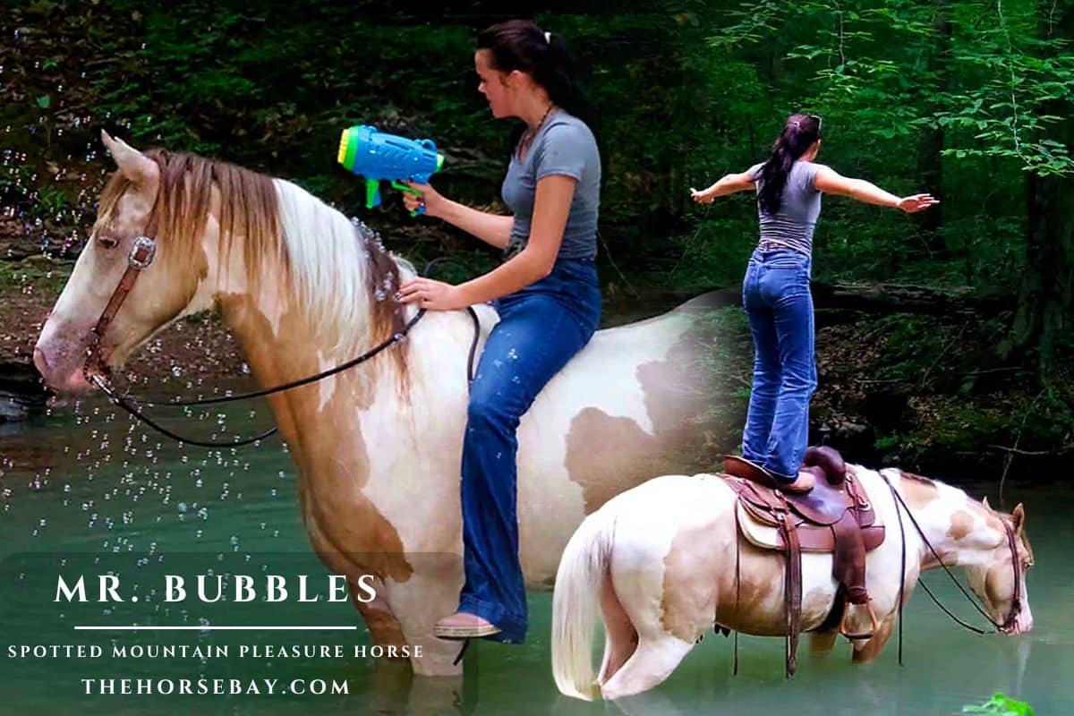 Mr. Bubbles