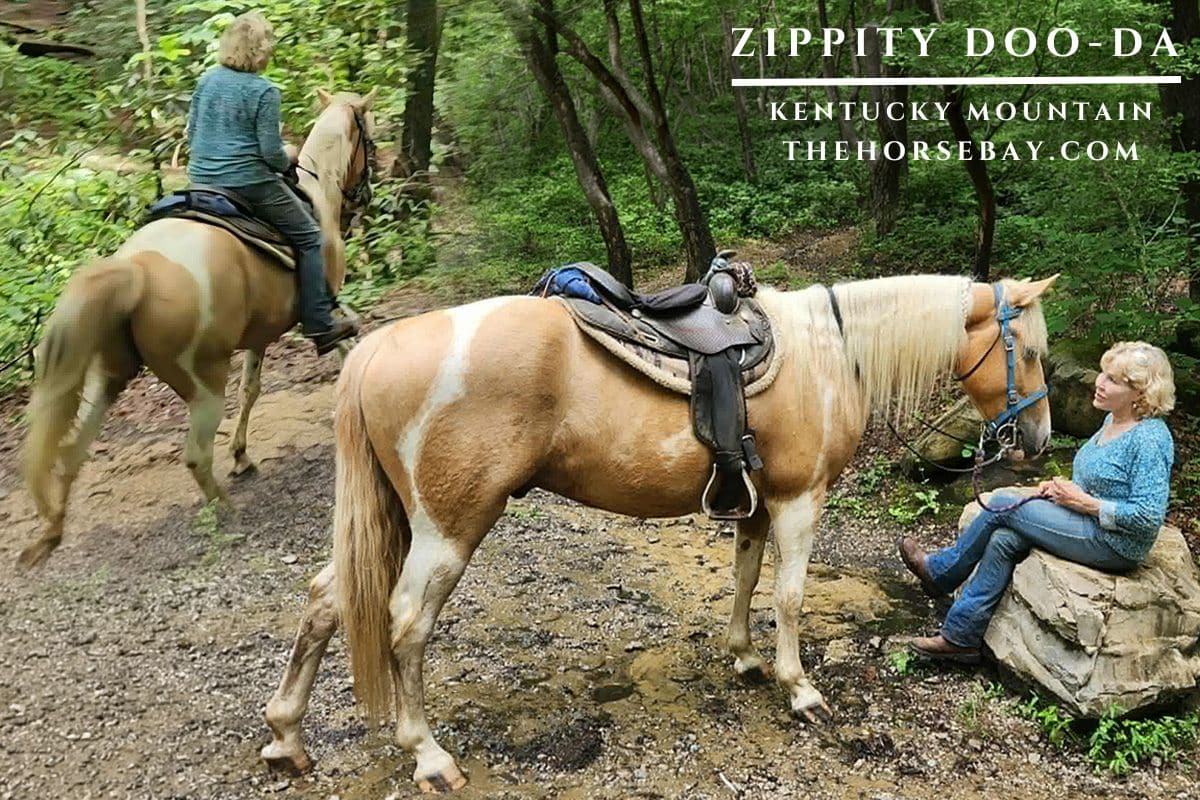 Zippity Doo-Da