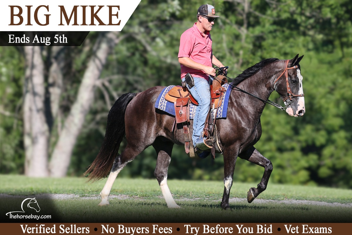 Big Mike