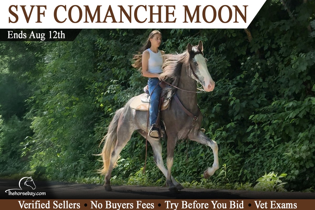SVF Comanche Moon