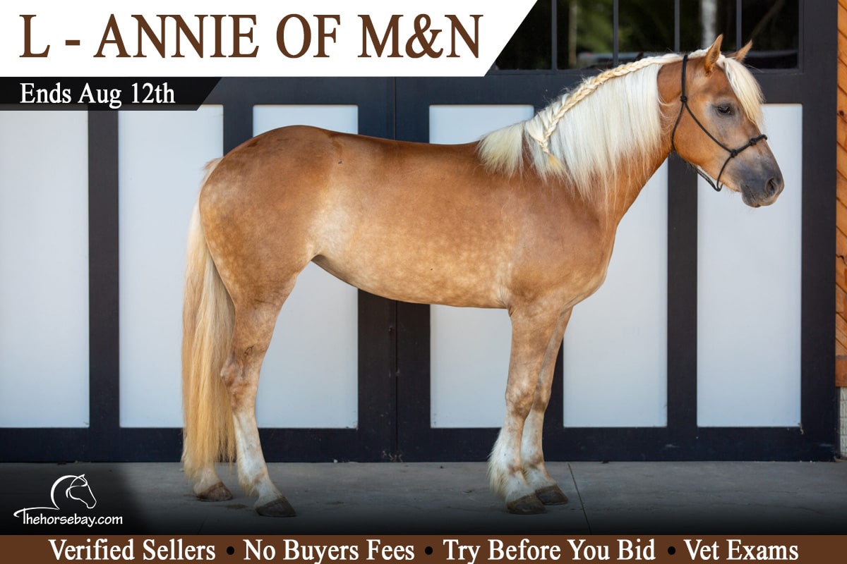 L-Annie of M&N