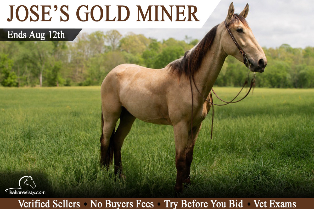 Jose’s Gold Miner