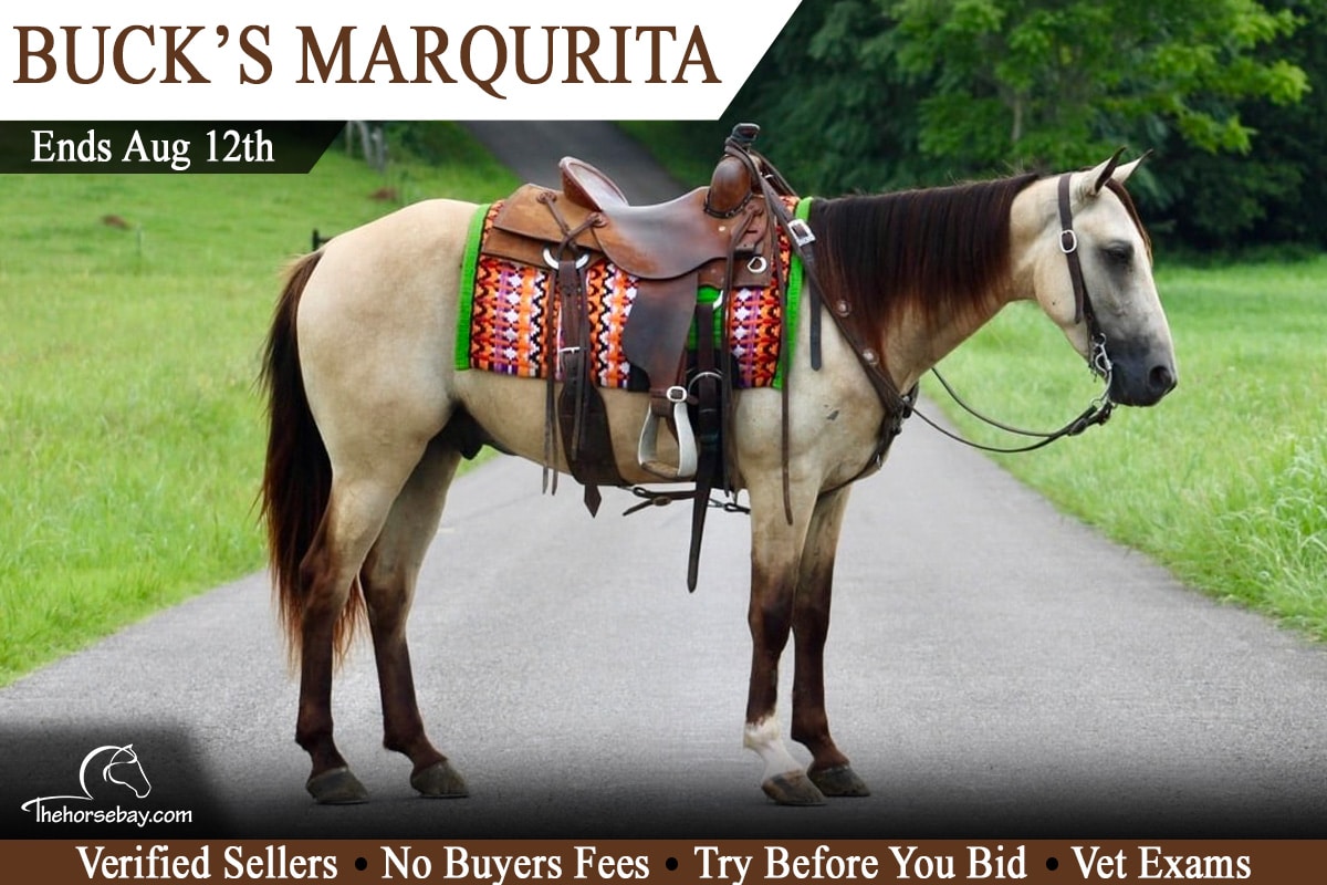Buck’s Marqurita