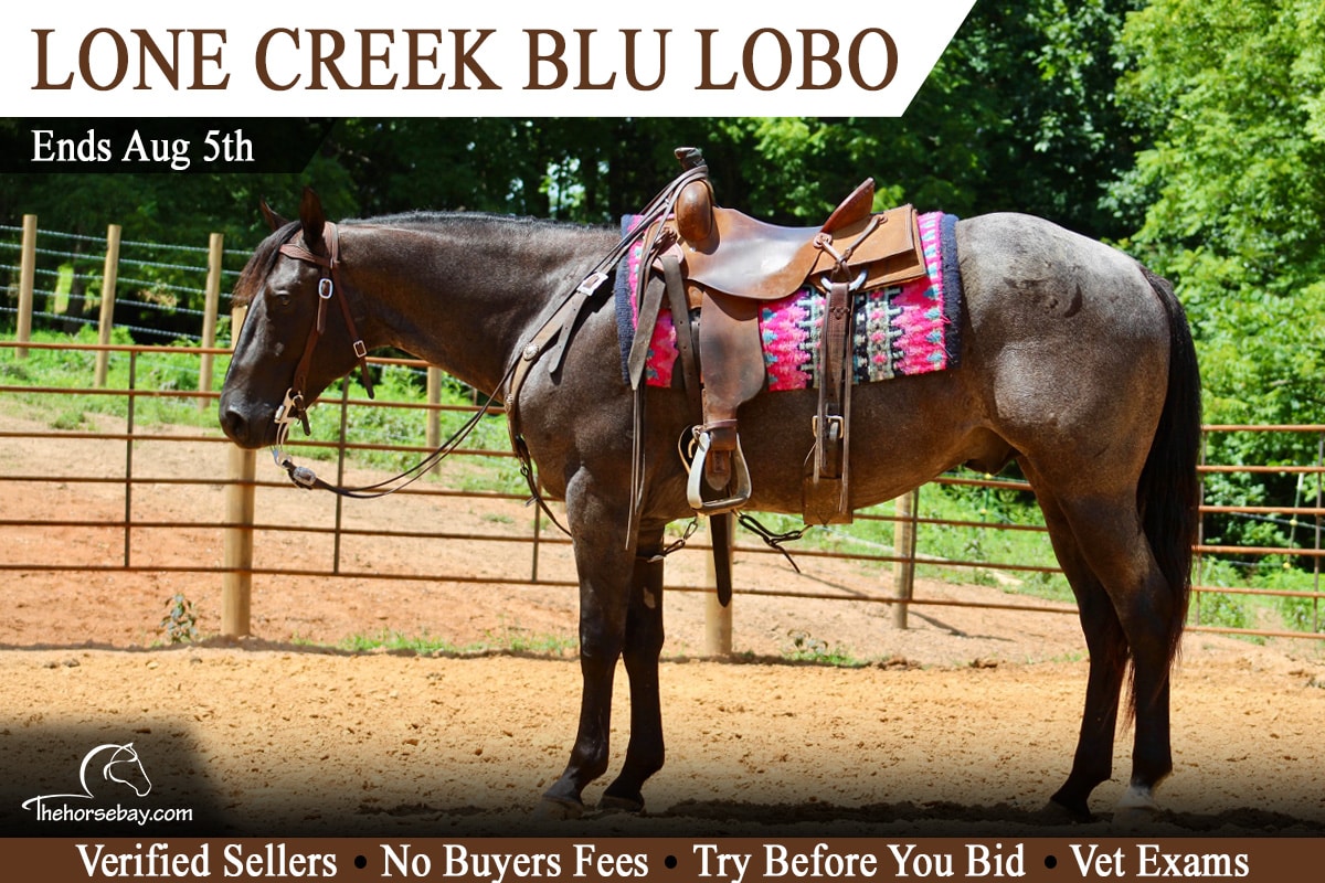 Lone Creek Blu Lobo