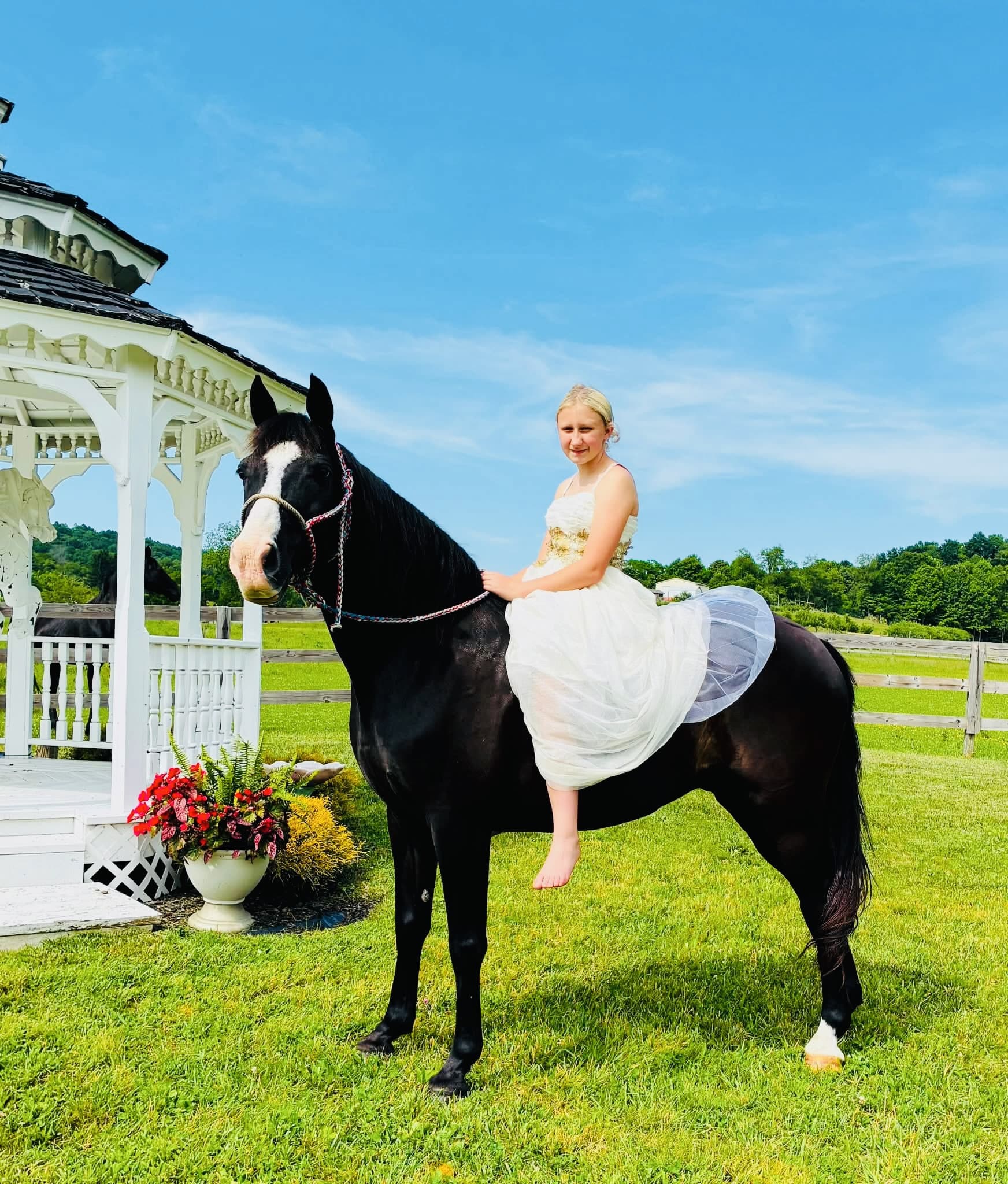 Zero | Thehorsebay.com