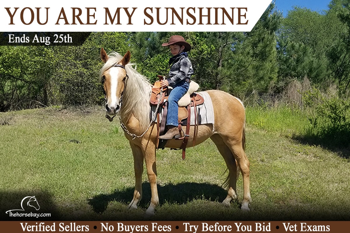 You Are My Sunshine