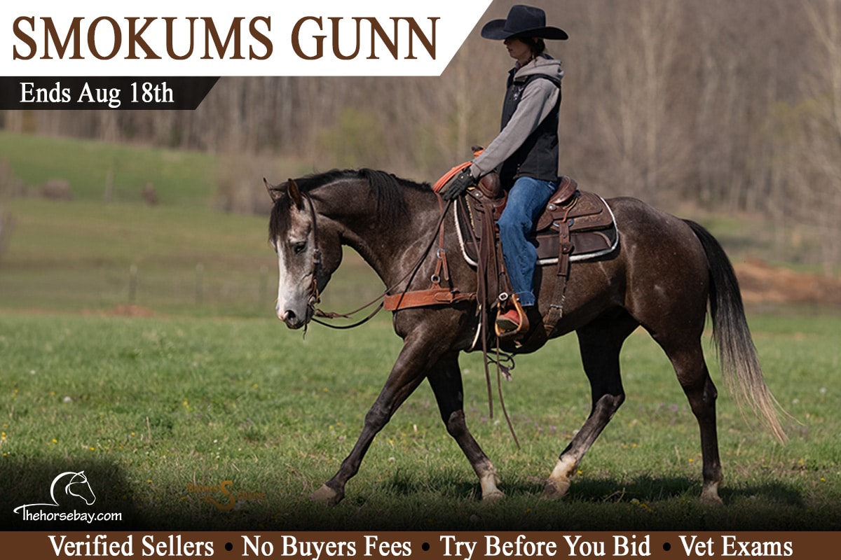 Smokums Gunn