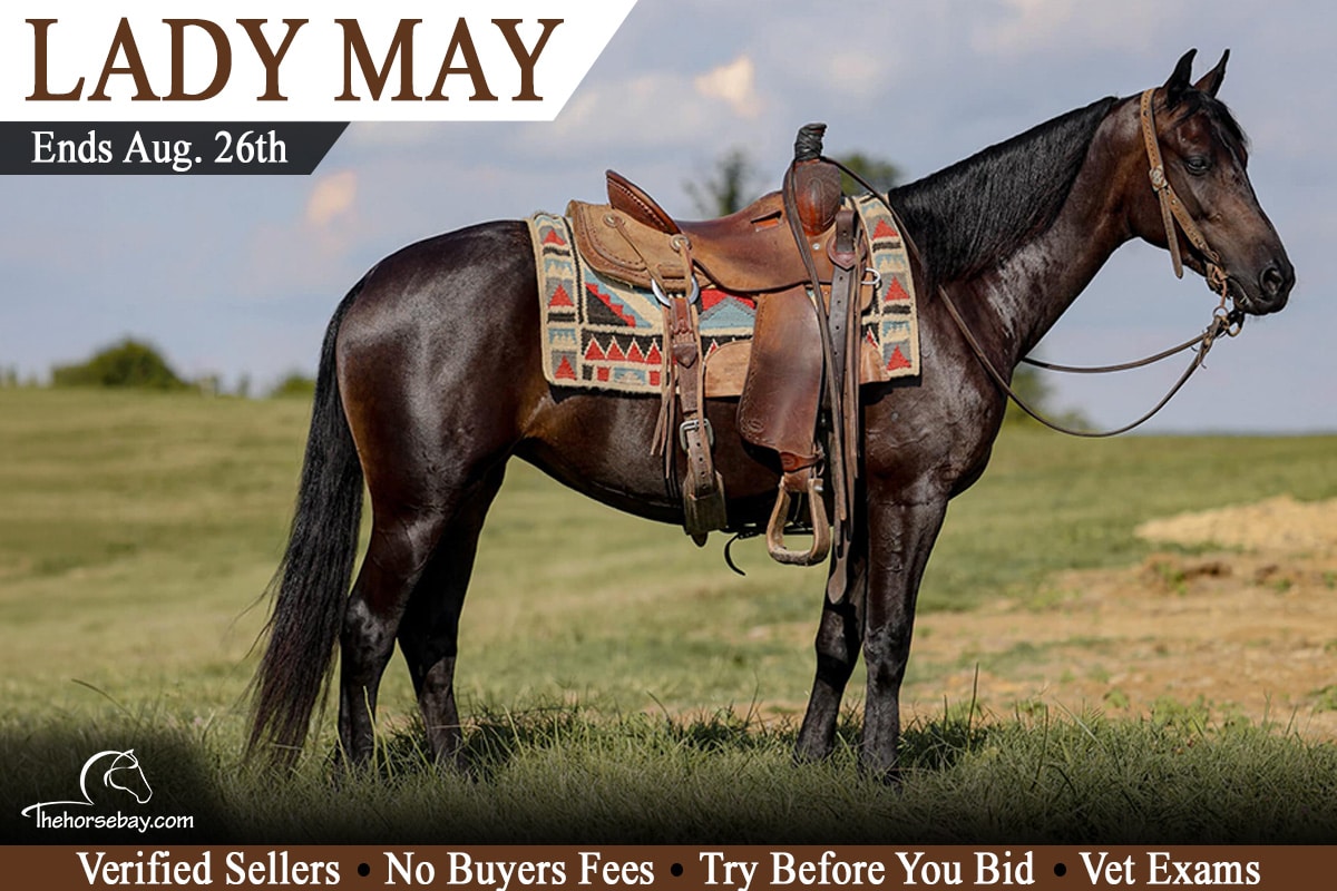Lady May