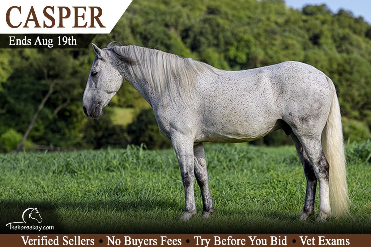 Casper